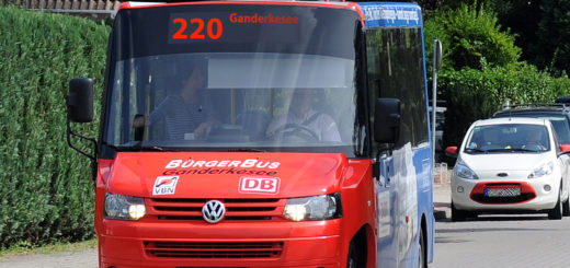 Die Nachfrage ist groß wie noch nie: Die Linie 220 des Bürgerbusses in Ganderkesee fährt ab Montag auf allen sechs Touren mit zwei Fahrzeugen im Tandembetrieb. Fotomontage: Konczak