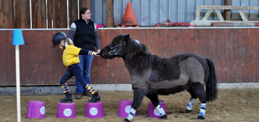 In Grüppenbühren trainieren Kinder mit ihren Ponys für die Ponyliga Oldenburg-Nord. Foto:Konczak