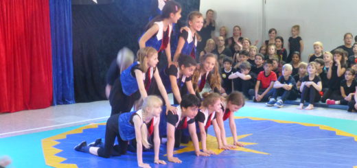 Die kleinen Akrobaten der Grundschule an der Düsseldorfer Straße präsentierten ihre neu erlernten Künststücke einem begeisterten Publikum. Foto: pv