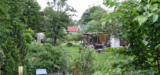 Mehrere Kleingärten in Woltmershausen müssen weichen, wenn der Deich erneuert wird. Foto: Schlie