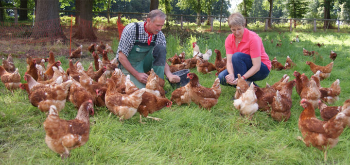 Christiane und Gustav Hertz-Kleptow sind stolz auf ihre neue Hühnerherde: Auf ihrem Hof in Ohlenstedt haben sie jetzt einen neuen Betriebszweig eröffnet, sie vermarkten Eier aus Freilandhaltung. Foto: Möller