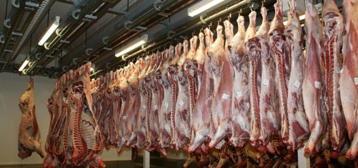 In einem Schlachthof: Verbraucherschützern mahnen, es gebe zu viel Billigfleisch. Foto: pixabay