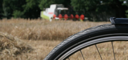 Die landwirtschaftliche Fahrradroute soll bis 2018 ausgebaut sein und die Gemeinden des Landkreis Oldenburg miteinander verbinden. Foto: Thale Alfs/Kreislandvolkverband Oldenburg