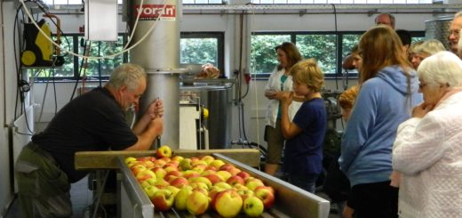 Die neue Apfelmosterei zog beim Tag der offenen Tür zahlreiche interessierte Besucher an. Foto: Bosse