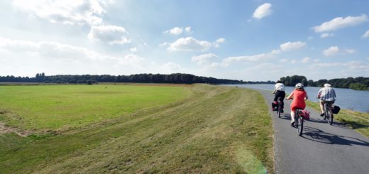 Noch grüne Wiese, bald Standort für 590 Wohneinheiten: Die frühere Friedhofserweiterungsfläche am Werdersee. Foto: WR