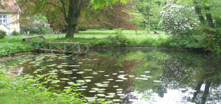 Der Park von Witzleben (auf dem Foto im Frühling) kann am Sonntag im Rahmen einer Führung besucht werden. Foto: Suhren