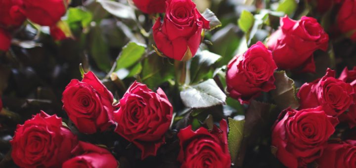 In Vegesack hat ein Räuber erst dreißig rote Rosen verlangt und dann die Händerlin überfallen. Symbolfoto/jeeshots