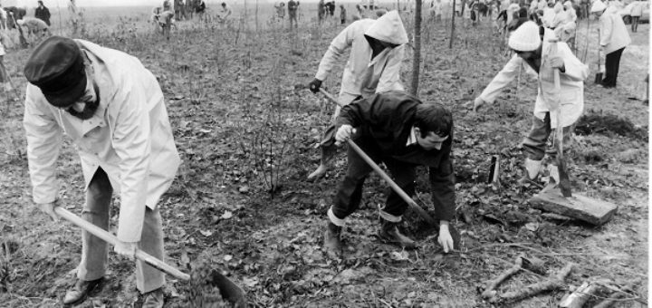 Im Herbst 1976 pflanzten hunderte Ehrenamtliche Bäume und Sträucher auf dem Gelände zwischen Grolland und Kirchhuchting und legten so die Wurzel für den heutigen Park links der Weser in Huchting.