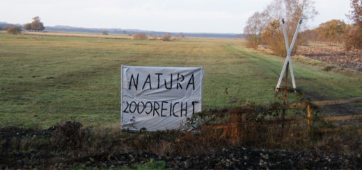 Besonders in der Ortschaft Teufelsmoor engagieren sich die Gegner weiterer Verschärfungen für den Naturschutz. Foto: Möller