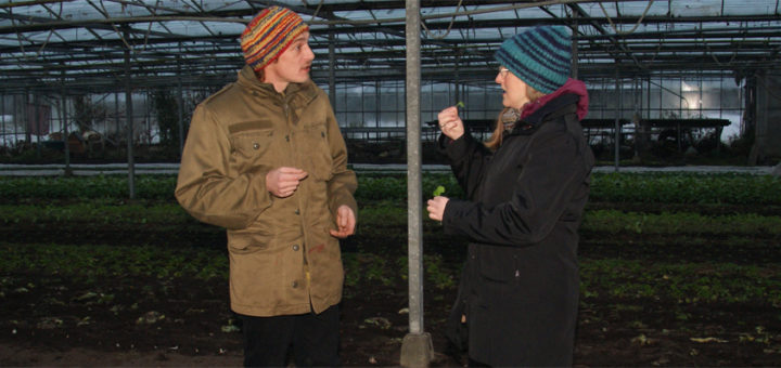 Sabine Röding lässt sich von Jan Bera die frischen Salate im Gewächshaus zeigen.Foto: Möller