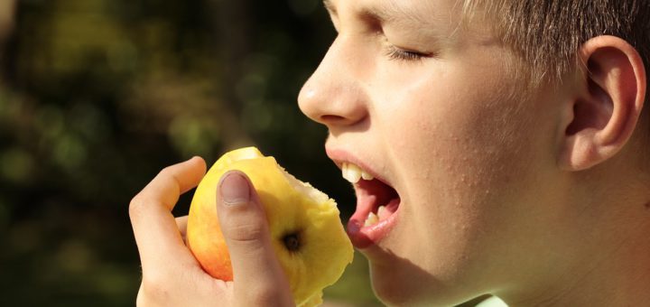 Kinder müssen ihre Zähne künftig vom Schulzahnarzt untersuchen lassen - damit der Biss in den Apfel keine Schmerzen hervorruft. Symbolfoto/pixabay