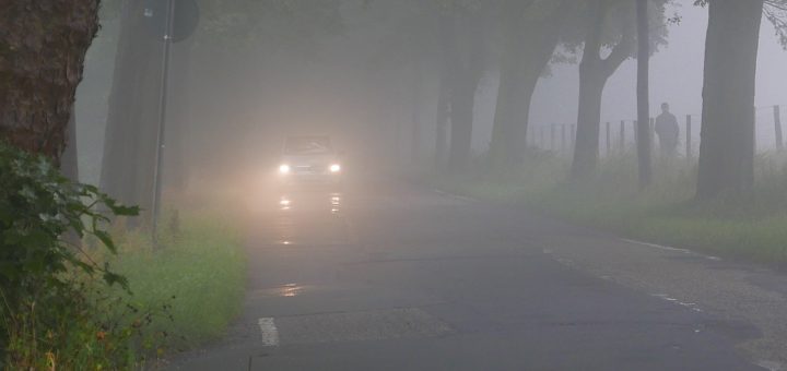 Besonders bei Nebel und in Baumalleen sei das Einschalten des Abblendlichts auch am Tage von größter Bedeutung, betonen Verkehrsexperten. Foto: ADAC/Achim Otto