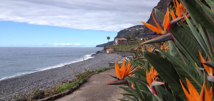 Strelizien, Strand und steile Hänge – auch das kann Madeira sein.