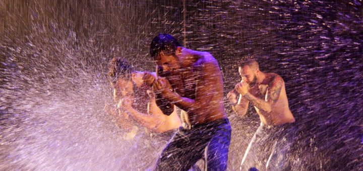 Wet Temptation - am 11. Mai im Musical Theater zu erleben. Foto:pv