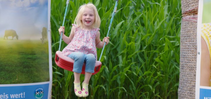 Die vierjährige Madleen hat das Maislabyrinth am Freitag mit ihrer Familie besucht und dabei diese Schaukel entdeckt. Fotos: gri