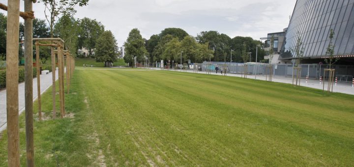Die neue „Grüne Promenade“ am Weserstadion. Foto: Barth