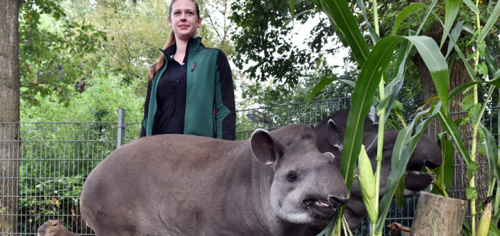 Auf Tuchfühlung mit Tapiren und Wasserschweinen: Christine Richter fühlt sich zwischen exotischen Tieren ausgesprochen wohl.Foto: Konczak