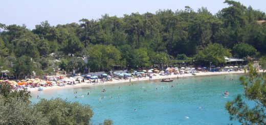 Tiefgrün trifft auf Gold und Cyan: Der Strand von Alikes – einer der beliebtesten auf Thassos.Fotos: Kaloglou