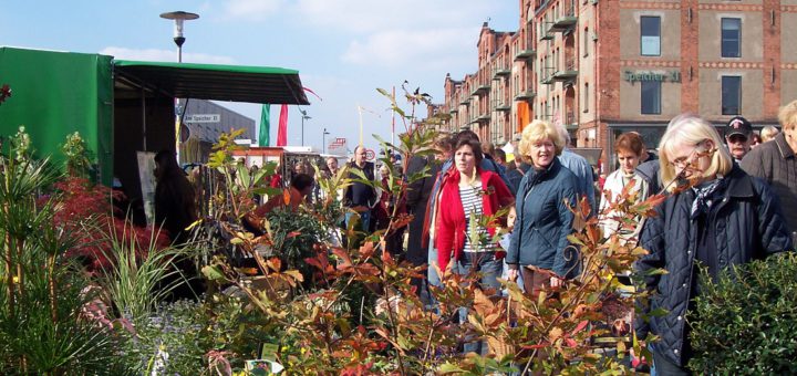 W9-Herbstmarkt-4sp. Foto: av