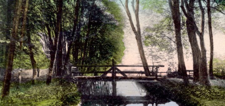 Die Welsebrücke im Tiergarten. Bildvorlage: Sammlung Garbas