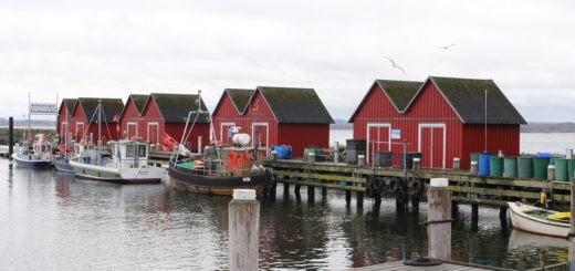Ein Spaziergang lohnt sich am Fischereihafen von Boltenhagen. Dort wird der Fisch direkt vom Kutter aus verkauft. Foto: Füller