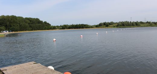Bevor Mitte Mai die Badesaison am Sportparksee startet, räumen die Akteure Mitte April noch auf. Am Ufer aber auch im Wasser werden Unrat und Müll gesammelt. Foto: Harm