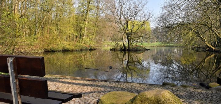 Bei der geplanten Umgestaltung der Grünflächen im Wollepark, wie zum Beispiel rund um den Teich, sollen Teilweise Pläne aus dem 19. Jahrhundert umgesetzt werden.Foto: Konczak