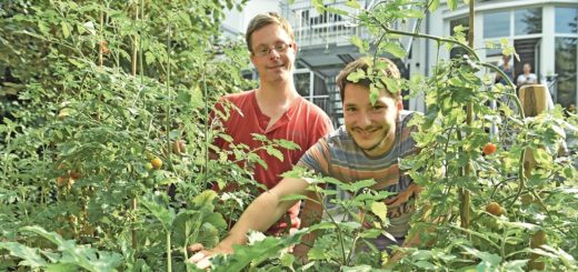 Im Garten haben die Bewohner ein Hochbeet angelegt, in dem Sven (l.) und Niklas (r. ) auch Tomaten und Zucchini züchten. Foto: Schlie