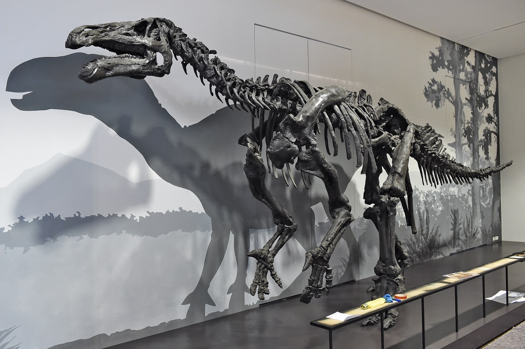Museum Bremen Dinosaurier