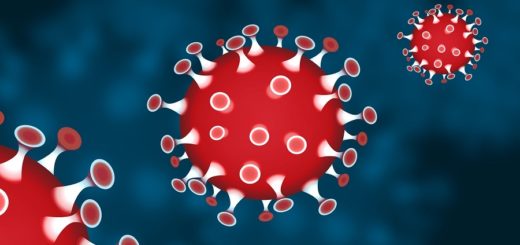 Der nationale Pandemieplan zur Endämmung des Corona-Virus soll fortgeführt werden. Foto: Pixabay