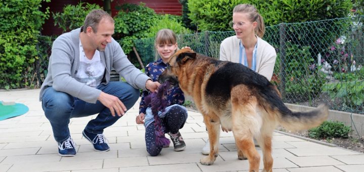 Heiko, Carlotta und Kirsten Zeller (v. l.) haben dem 14-jährigen Schäferhund Berny als Pflegefamilie ein neues Zuhause gegeben. Den Großteil der Kosten trägt der Tierscutz. Foto: Holz