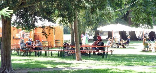 Im Leibnizplatzpark in der Neustadt bietet das Kulturkombinat offene Neustadt (Kukoon) nun bis mindestens Ende August „Kukoon im Park“ an. Foto: Schlie