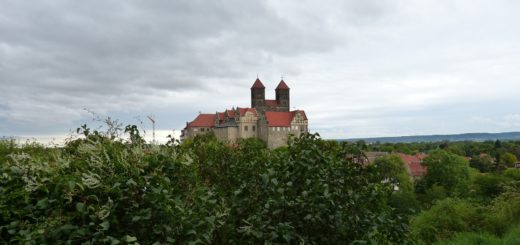 Das historische Quedlinburg und der Harz sind einen Besuch wert. Foto: Barbara Dondrup auf Pixabay