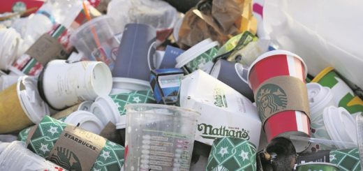 Getränke und Essen zum Mitnehmen verursachen Unmengen von Plastikmüll. Eine neue EU-Verordnung soll künftig einen Riegel davor schieben.Foto: Filmbetrachter / Pixabay