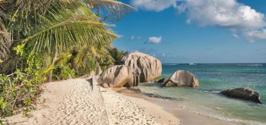 Zum Winter hat die DER Touristik wieder Fernziele wie die Seychellen oder Thailand im Angebot: Foto: Walkerssk / Pixabay