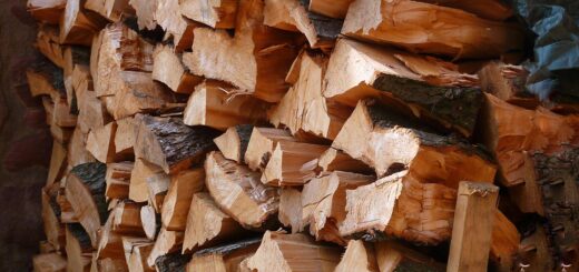 Wer diesen Winter mit Brennholz heizen will und keine Vorräte angelegt hat, droht leer auszugehen.Foto: Pixabay