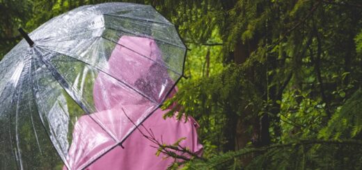 Erfreulich: Anderorts in Deutschland braucht man den Regenschirm öfters als hier in Bremen.Foto:Nicky Pe auf Pixabay