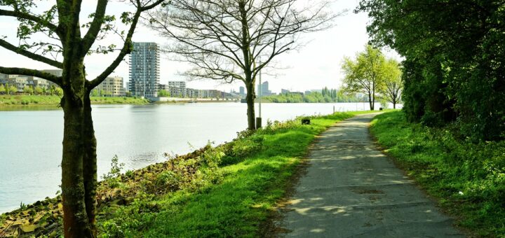 Der aktuelle Radweg entlang der Weser ist eng und hubbelig. Künftig soll er auf einer Strecke von 1,9 Kilometern auf vier Meter Breite ausgebaut werden. Foto: Schlie