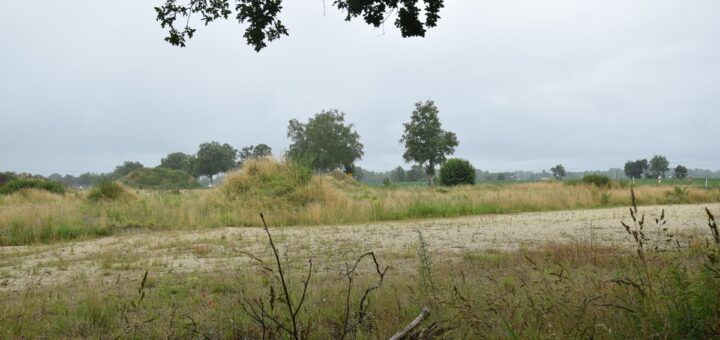 Das Grundstück für die geplante Baustelle am Ortsausgang von Grasberg liegt weiterhin brach. Wann sich das ändert, ist bisher nicht abzusehen. Foto: Utke