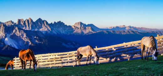 Südtirol fasziniert nicht nur mit seiner Bergweld. Foto: Hajo Philippi auf Pixabay