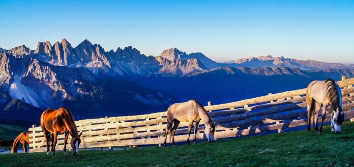 Südtirol fasziniert nicht nur mit seiner Bergweld. Foto: Hajo Philippi auf Pixabay