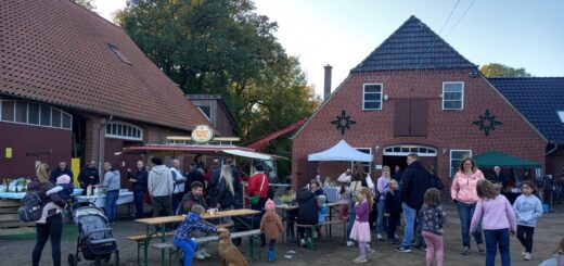 Ein buntes Herbstfest mit vielen Attraktionen für alle Generationen veranstaltete der Hof Bahrenwinkel. Foto: Fricke