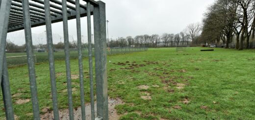 Die wilde Wiese steht derzeit allen Bürgerinnen und Bürgern zur Verfügung. Hier soll in Zukunft der Trainingsbetrieb von Werder stattfinden. Eine Ausgleichsfläche ist geplant. Foto: Schlie