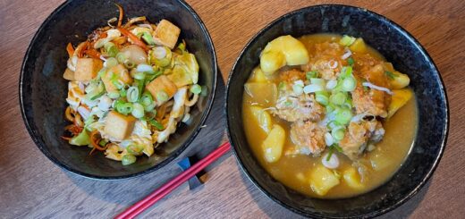 Udon Nudeln und japanisches Curry im Akashi. Foto: Schlie