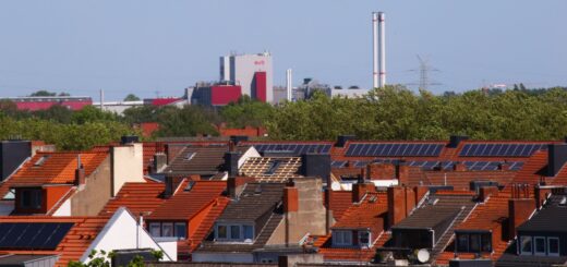 Bäume Baumschutz Panorama Bremen