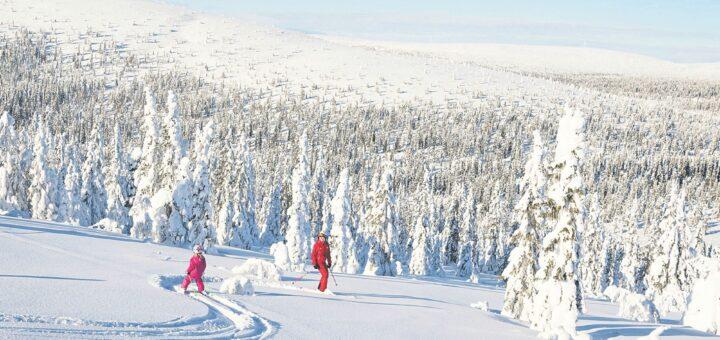 TUI nimmt die größte Skiregion Nordeuropas ins Winterprogramm auf.Foto: TUI