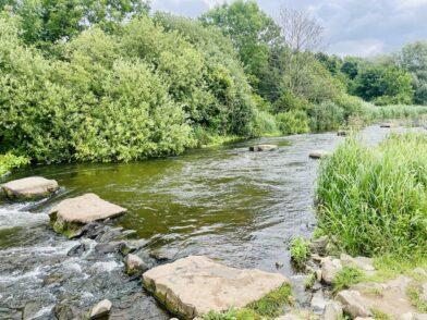 Auf der Strecke am Habenhauser Deich an der Fischtreppe lohnt sich eine kleine Rast. Foto: Füller 