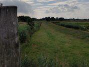 Vom Aussichtsturm lässt sich die hiesige Flora und Fauna beobachten. Foto: Behrbom