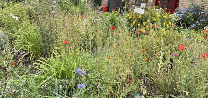 Naturbelassener Garten