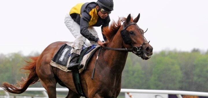 puc galopprenenebertil arlert pixabay